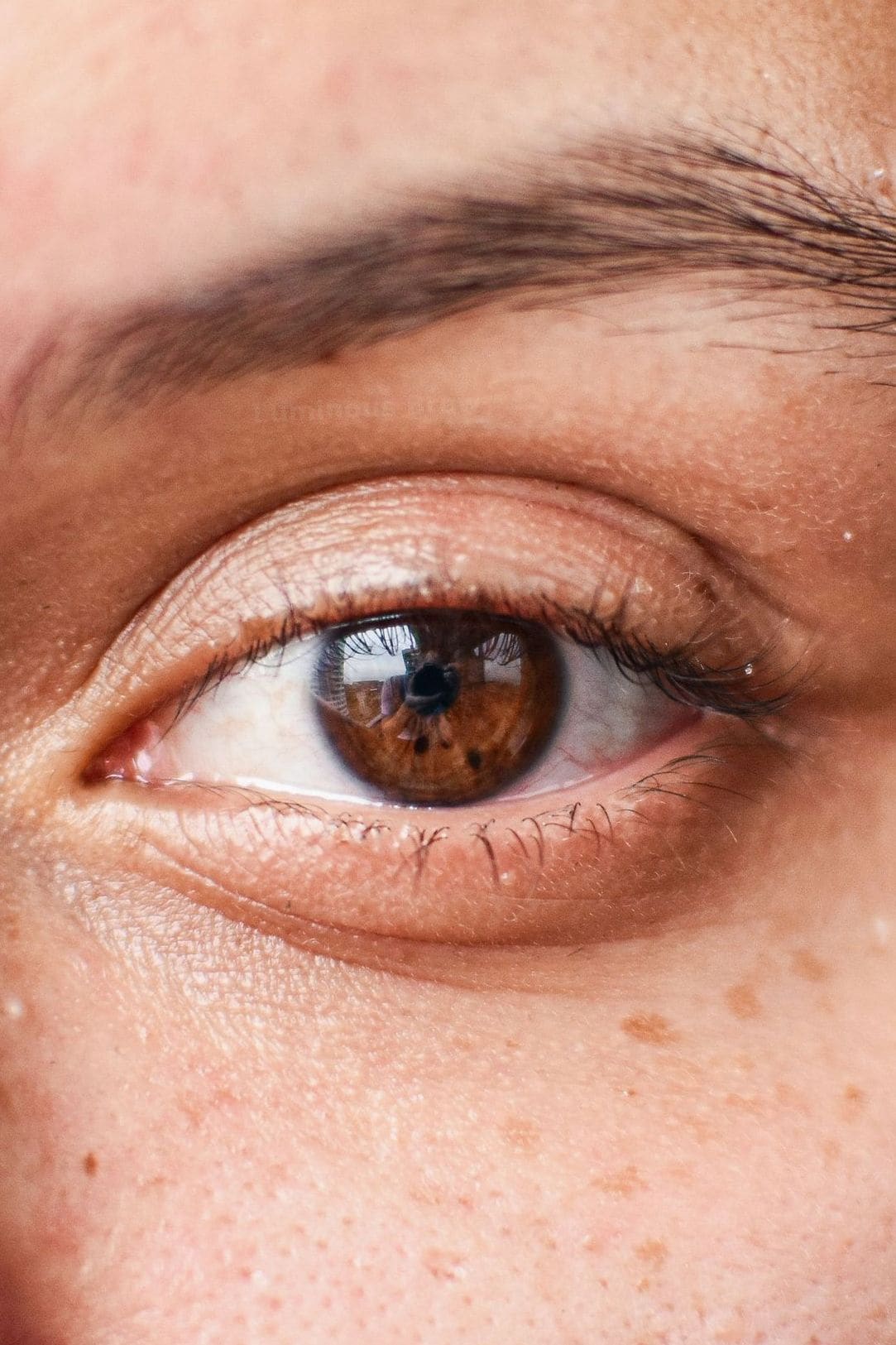 Luminous Brow 11