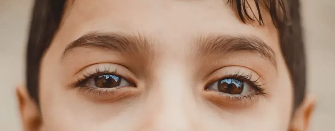 Luminous Brow 14
