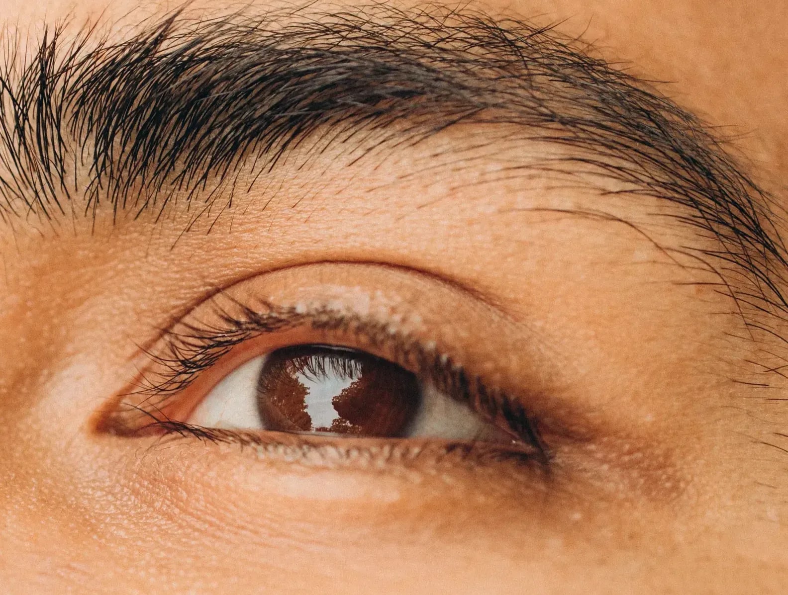 Luminous Brow